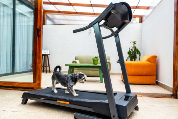 Cost of Treadmill Installation in Spring Hill