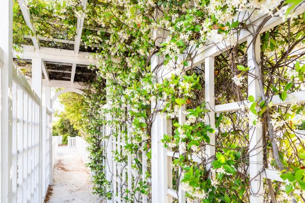 Cost of Trellis Repair in Spring Hill
