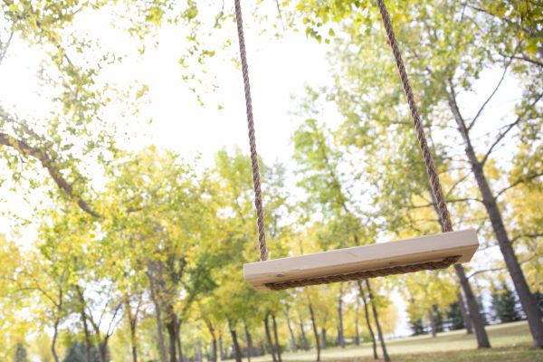 Cost of Tree Swing Installation in Spring Hill