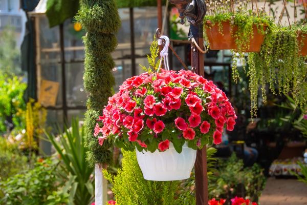 Cost of Hanging Planter Installation in Spring Hill