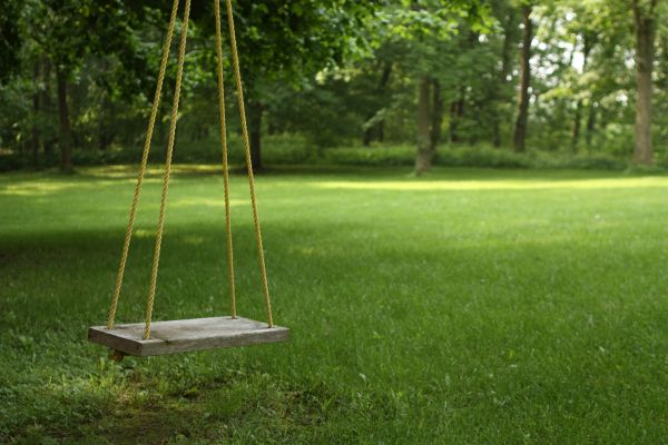 Cost of Rope Swing Installation in Spring Hill