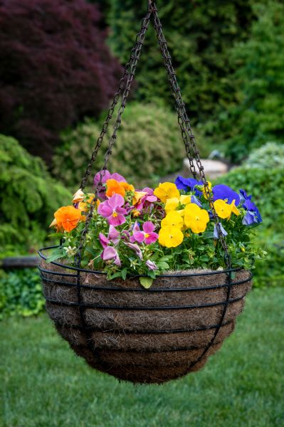 Cost of Hanging Basket Installation in Spring Hill