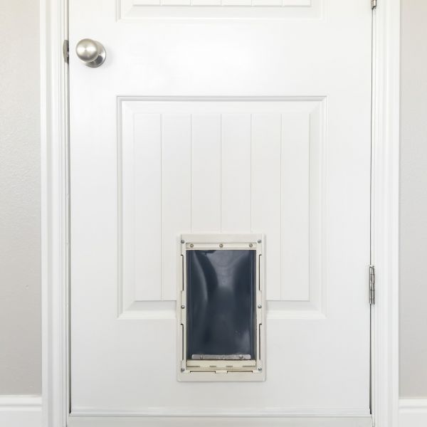 Cost of Pet Door Repair in Spring Hill