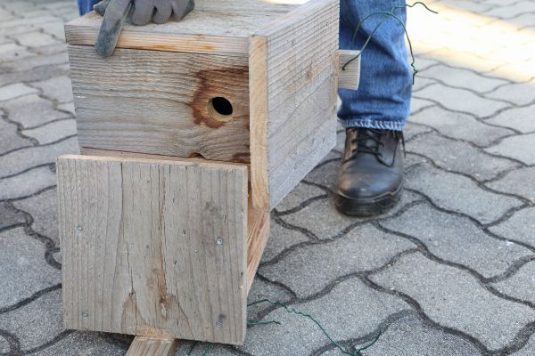 Cost of Birdhouse Mounting in Spring Hill