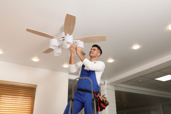 Cost of Ceiling Fan Bulb Replacement in Spring Hill