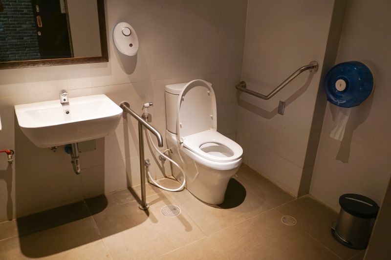 Toilet Handrail Installation